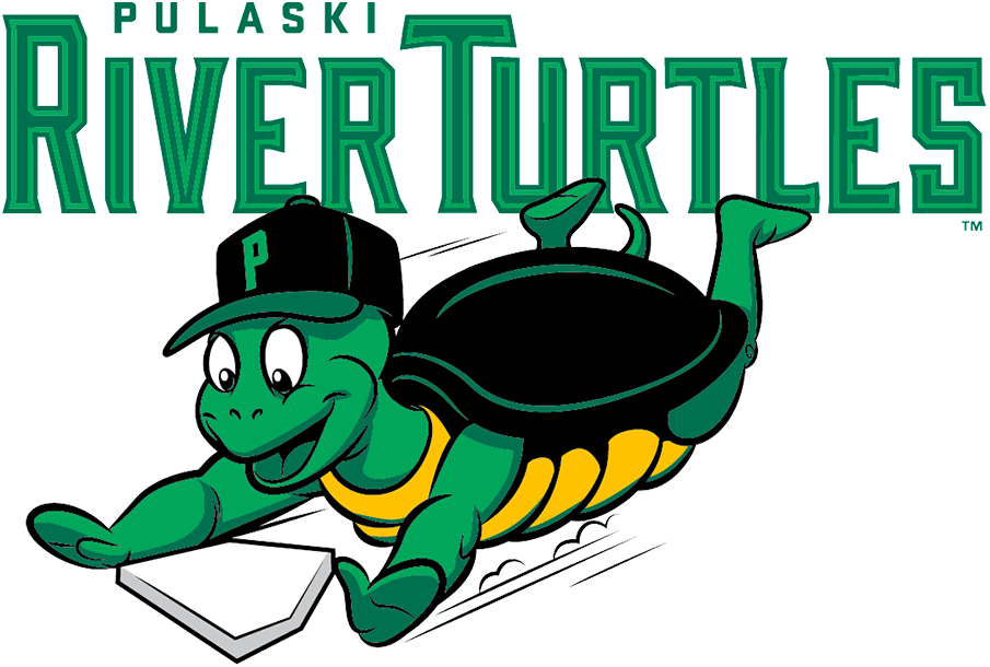 Pulaski River Turtles 2021-Pres Primary Logo iron on transfers for T-shirts